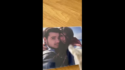 Feline mischief: Cats on the hunt for adventures