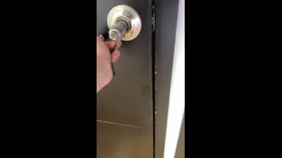 Guaranteed laughs: Compilation of funny cat videos