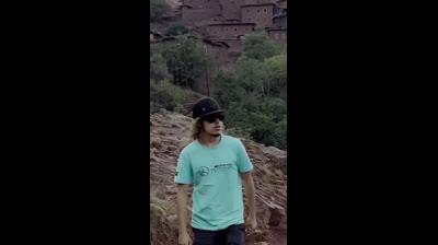 Furry madness: Compilation of funny cat videos