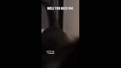 Laugh with your furry friends: Funny cat videos to share