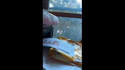 Laughter and tenderness: Compilation of funny cat videos