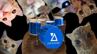 Get ready to laugh! Compilation of mischievous funny cat videos