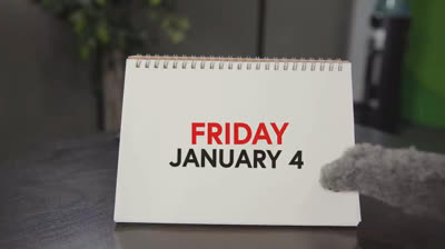 Laughter with feline style: Compilation of funny videos that will make you love cats even more