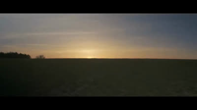 Renovación en la Naturaleza: Videos Relajantes para el Alma