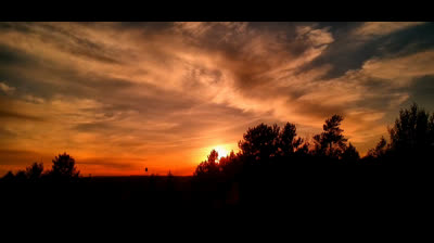 Viaje Natural: Videos de Relajación en la Belleza Salvaje