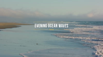 Instantes de Paz: Videos Relajantes en Entornos Naturales