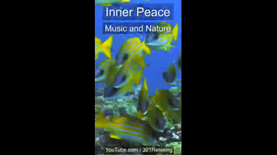 Renacimiento Natural: Videos Relajantes para Renovar el Espíritu