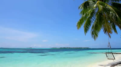 Instantes de Serenidad: Videos Relajantes en Paisajes Naturales