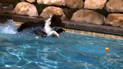 Conexión Profunda: Videos de Relajación en Entornos Naturales