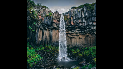 Serenidad en la Selva: Videos Relajantes para Encontrar la Armonía