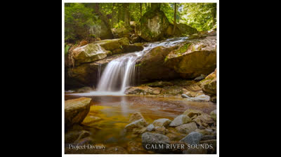 Armonía entre Elementos: Videos Relajantes en la Naturaleza