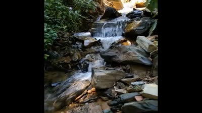 Susurros de la Brisa: Videos de Relajación para Sentir la Calma