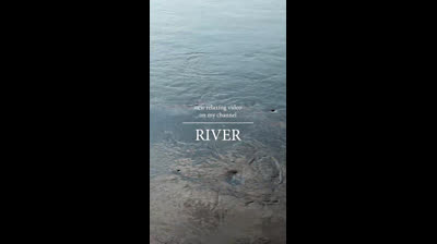 Serenidad en la Naturaleza Virgen: Videos Relajantes para Conectar con lo Puro