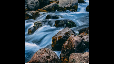 Belleza en Movimiento: Videos de Relajación para Observar el Mundo