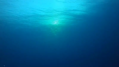 Serenidad al Aire Libre: Videos Relajantes en la Naturaleza