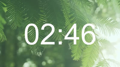 Silencio de la Naturaleza: Videos Relajantes para Paz Interior