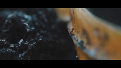 Descanso entre Montañas: Videos Relajantes para Equilibrar el Espíritu