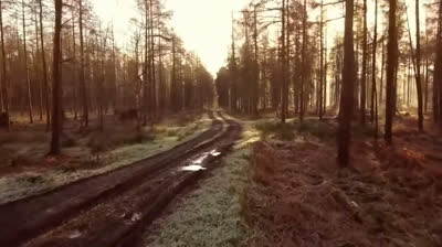 Oasis de Calma: Videos Relajantes para Aliviar el Estrés