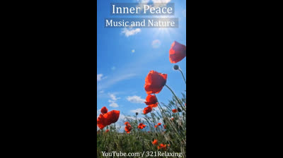 Calma en Movimiento: Videos de Relajación en Entornos Naturales