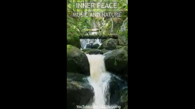 Encuentro Interior: Videos Relajantes en la Naturaleza