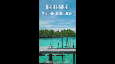 Oasis de Tranquilidad: Videos de Relajación en la Naturaleza