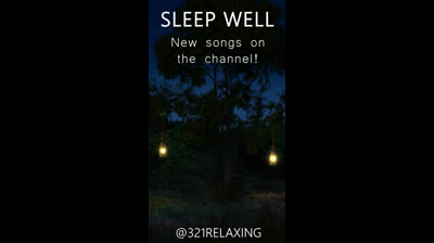 Escapada Serena: Videos Relajantes para Recargar Energías