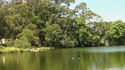 Serenidad en la Distancia: Videos de Relajación en Paisajes Lejanos