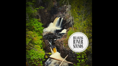 Encuentro con la Naturaleza: Videos de Relajación para Sanar