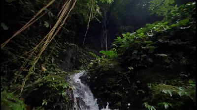 Descanso en la Naturaleza: Videos de Relajación para Recargar el Espíritu