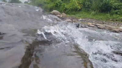 Oasis en la Naturaleza: Videos de Relajación para Encontrar Refugio
