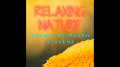 Renacimiento Espiritual: Videos Relajantes en Entornos Naturales