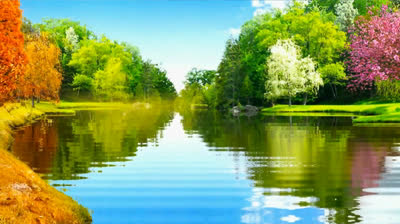 Refugio en la Naturaleza: Videos de Relajación para Descansar el Alma