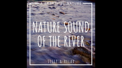 Armonía Acuática: Videos de Relajación para Flotar en la Serenidad