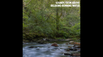 Oasis de Tranquilidad: Videos Relajantes para Encontrar la Armonía