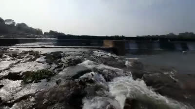 Respiro en la Naturaleza: Videos Relajantes para Renovar el Espíritu