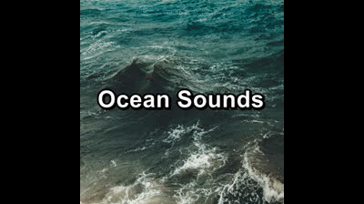 Serenidad Salvaje: Videos de Relajación para Explorar la Naturaleza