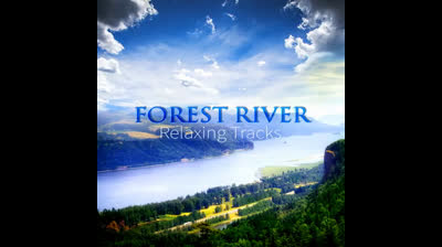 Oasis entre Hojas: Videos de Relajación para Sentir la Frescura