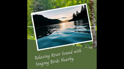 Susurros de la Selva: Videos Relajantes para Encontrar la Quietud