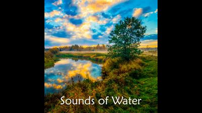 Belleza Natural: Videos de Relajación para Maravillarse con el Mundo