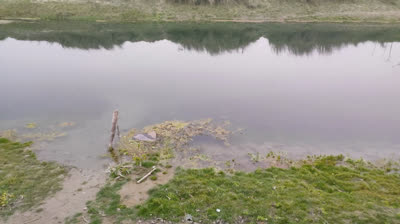 Armonía entre Elementos: Videos Relajantes para Equilibrar la Vida