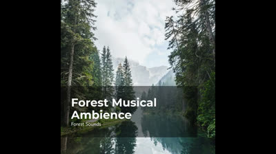 Paz en el Corazón: Videos de Relajación para Encontrar la Armonía Interna