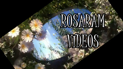 N: 254 - VÍDEOS  ROSARAM - RICHARD CLAYDERMAN (ADELINE and MARRIAGE)