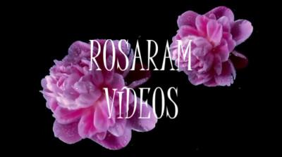 N: 251  VIDEOS ROSARAM - A Whiter Shade of Pale (Original Single Version) Procol Harum.