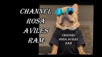 N: 238 ¡¡¡RITMO!! !RHYTHM!!! - VIDEOS ROSARAM