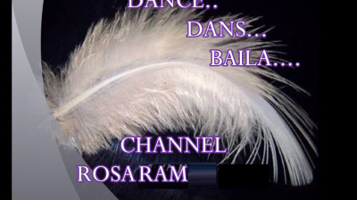 N:  225   VIDEOS  ROSARAM . I'll Meet You At Midnight Smokie - DANCE.. DANS... BAILA..