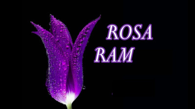 VÍDEOS ROSARAM -N: 222 (Любовь уставших лебедейКудайберген Димаш)Amor de cisnes cansados - Kudaibergen Dimash