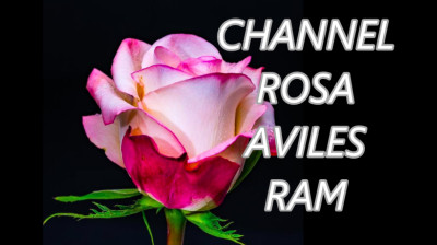 VÍDEO N: 221 ROSARAM - Frente a frente Bunbury ( IT IS NOT GOING TO BE LONG. QUEDA, QUE POCO QUEDA