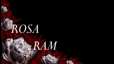 VÍDEO N: 185 -  DÍAS TRISTES....- SAD DAYS ..... CORONA VIRUS - VÍDEOS ROSARAM