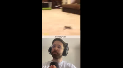 Si te ries pierdes ante lo divino: ¿Serás el próximo en caer?