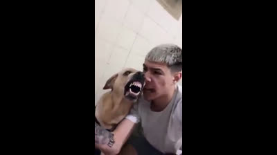 Risas divinas: El reto supremo para tu fuerza de voluntad